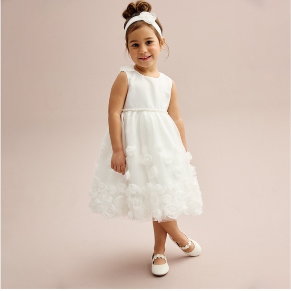 NWT Blueberi Boulevard 2-pc. Floral Applique Fit and Flare Dress & Headband Set - Picture 9 of 11